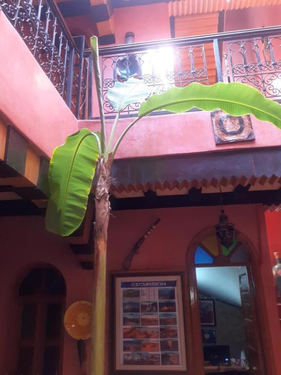 Riad Hanafi Marrakesh Exterior photo